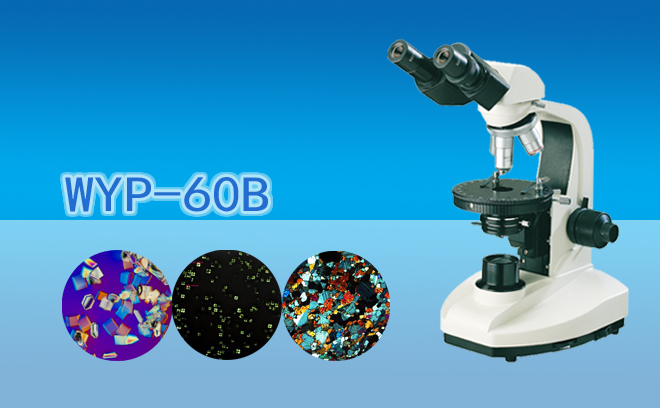 双目简略单纯偏鲜明微镜WYP-60B