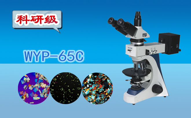 三目透反射偏鲜明微镜WYP-65C