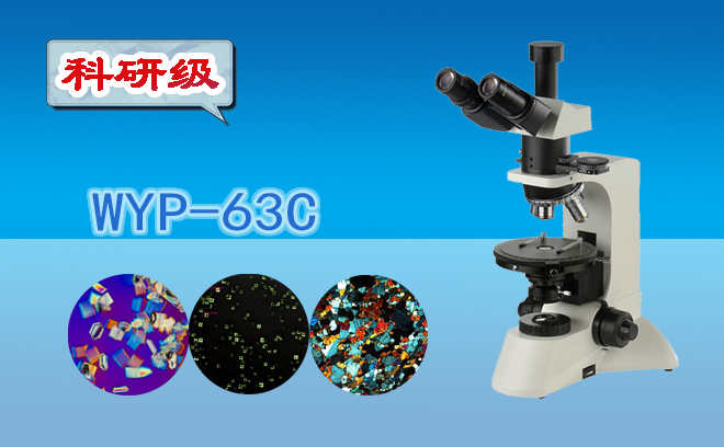 科研级三目偏鲜明微镜WYP-63C