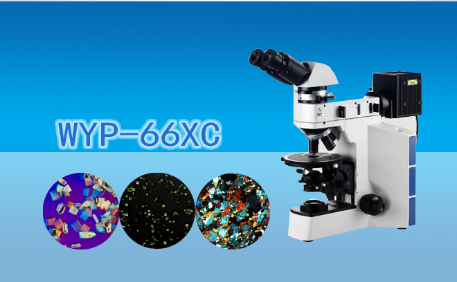 透反射偏鲜明微镜WYP-66XC