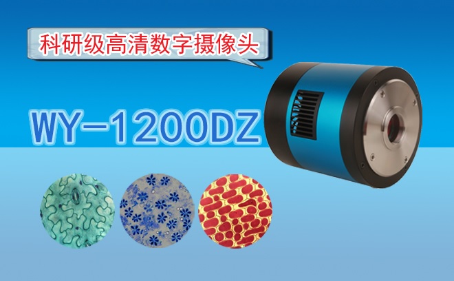 高清CCD数字摄像头WY-1200DZ